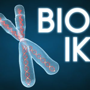 Bio IK – Free Download