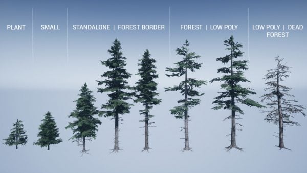 Mountain Trees – Dynamic Nature – Free Download